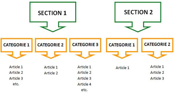 Organigramme