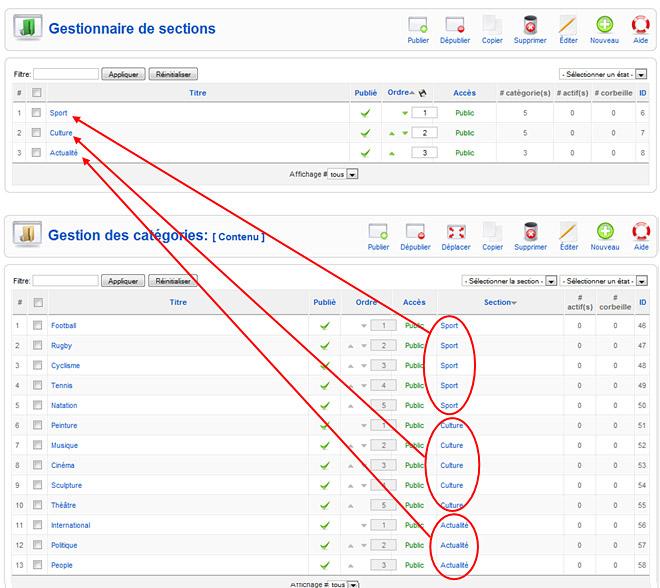 Sections et catégories