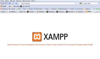 Page de lancement de XAMPP